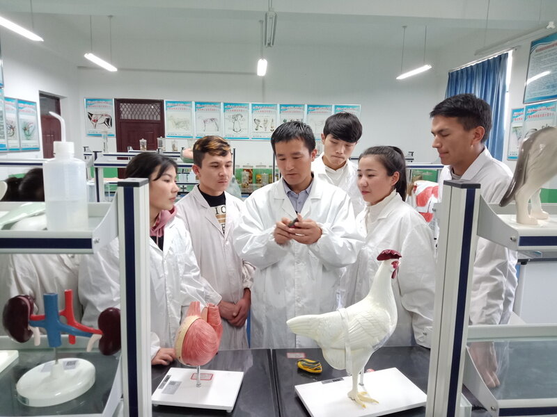 提炼优质校项目建设经验_创建新优质学校经验介绍_优质校建设工作总结