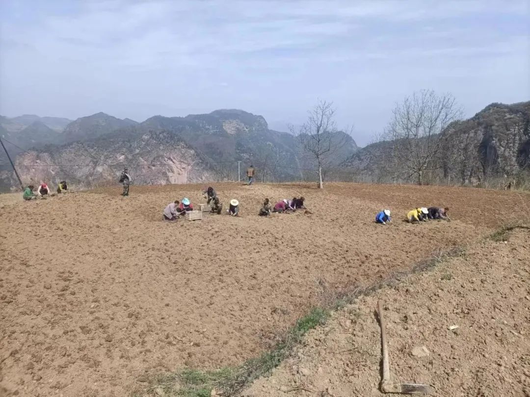 中国养殖致富网_致富网养殖项目_致富网养殖业
