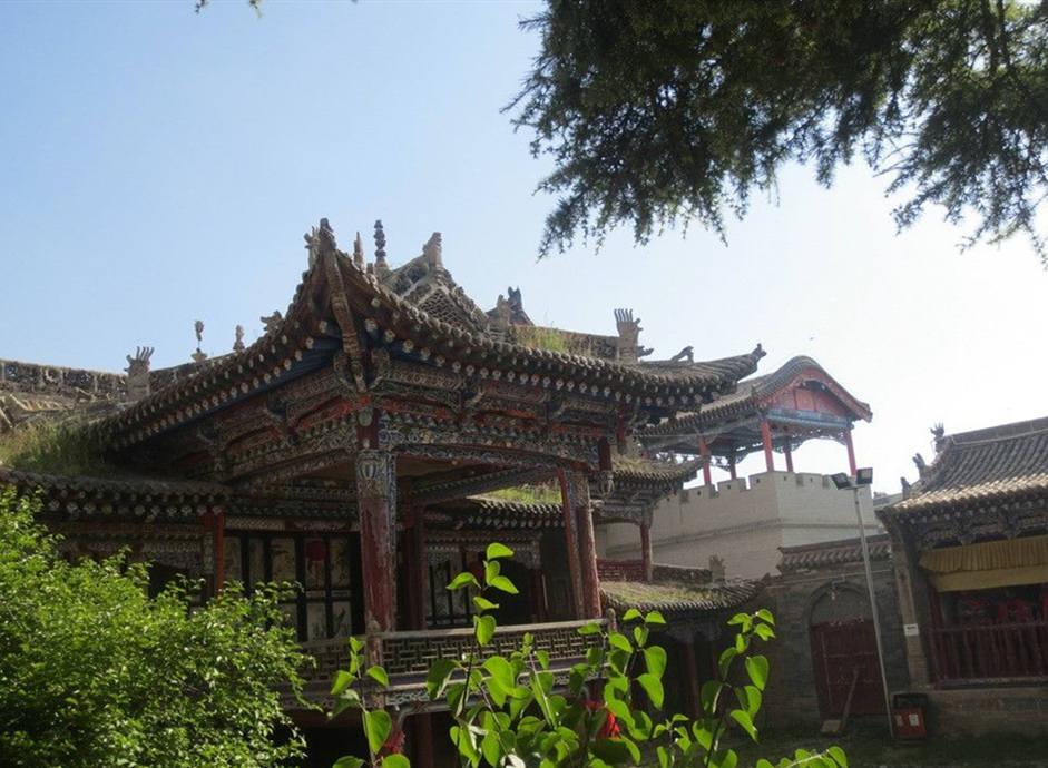 香橼树的种植方法_香橼树种植技术_香橼树种植致富