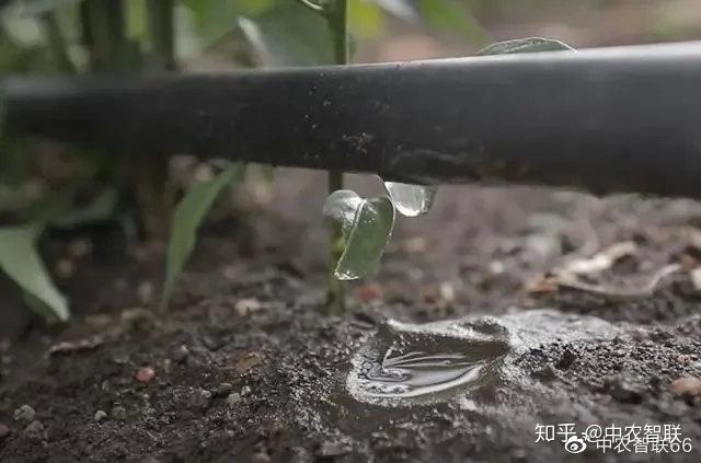 奶牛养殖技术_养殖奶牛技术规范_奶牛养殖流程