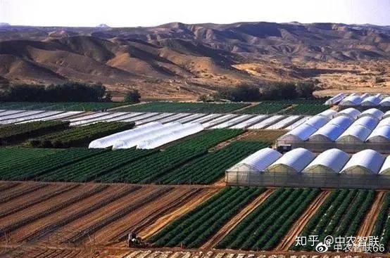 奶牛养殖流程_奶牛养殖技术_养殖奶牛技术规范