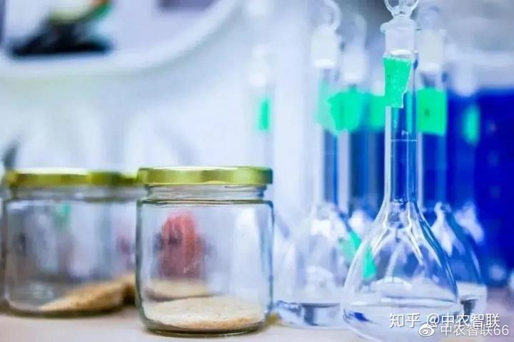 奶牛养殖技术_养殖奶牛技术规范_奶牛养殖流程