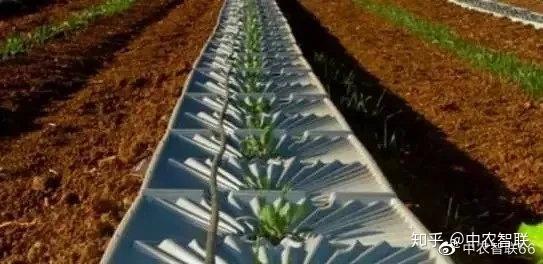 奶牛养殖流程_养殖奶牛技术规范_奶牛养殖技术