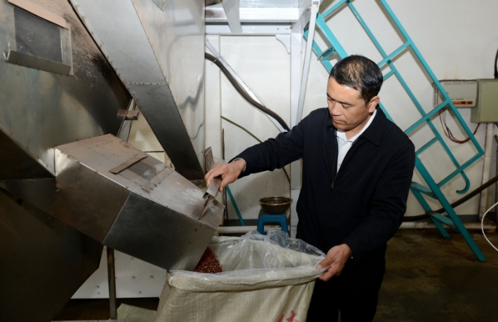 韩城：花椒铺就致富路 51个贫困村脱贫出列 （组图）