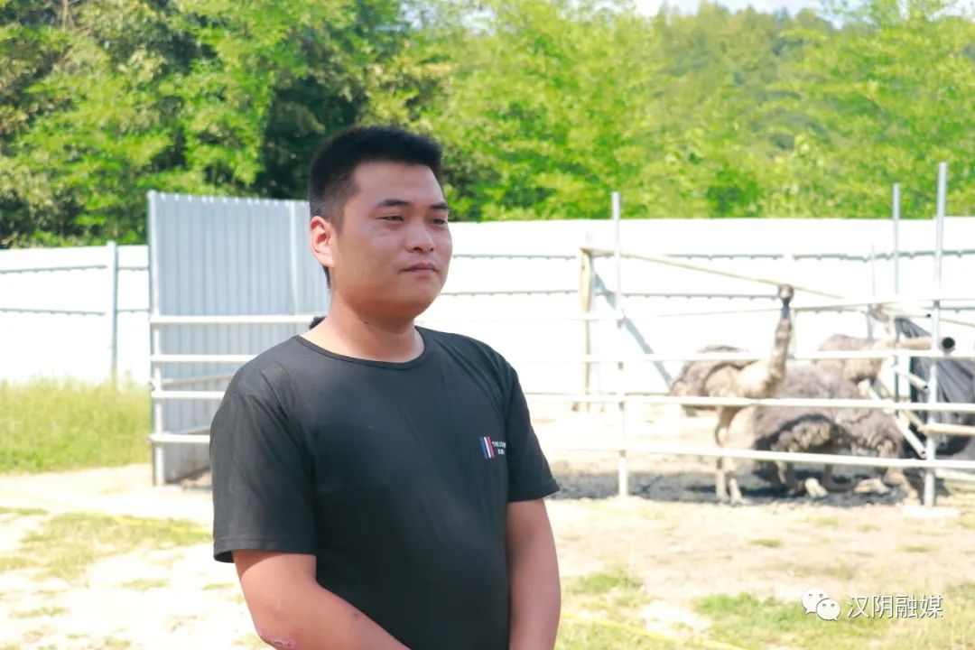 东北农村养殖致富项目_东北养殖业致富项目_东北创业好项目养殖