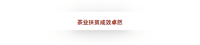 种植茶叶利润怎么样_种植茶叶致富视频_种植茶叶技术视频