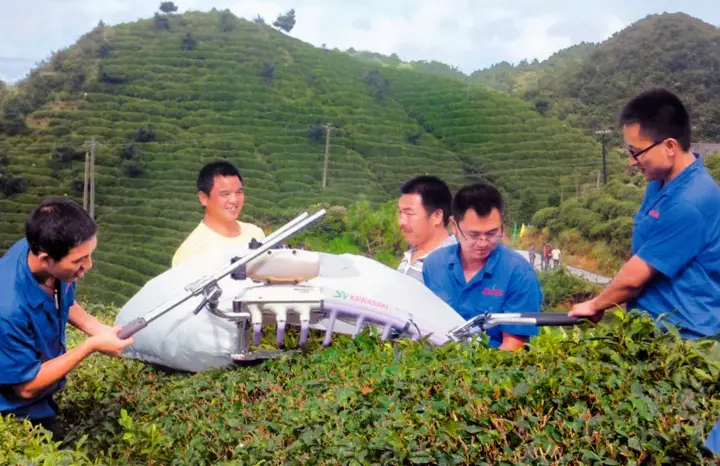 种植茶叶致富视频_种植茶叶利润怎么样_种植茶叶技术视频