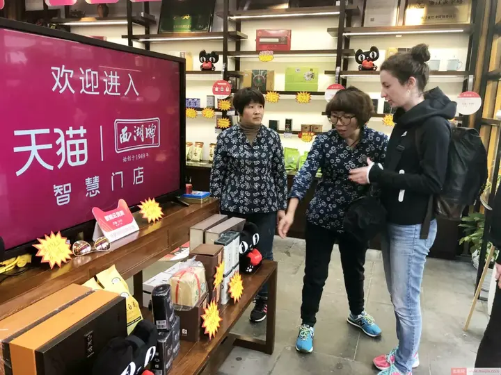 种植茶叶技术视频_种植茶叶利润怎么样_种植茶叶致富视频
