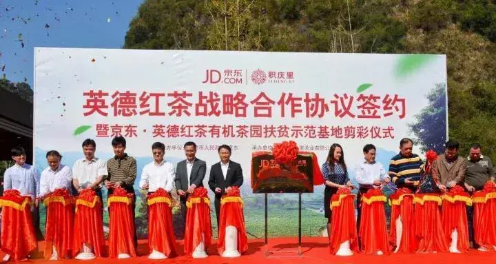 种植茶叶技术视频_种植茶叶利润怎么样_种植茶叶致富视频