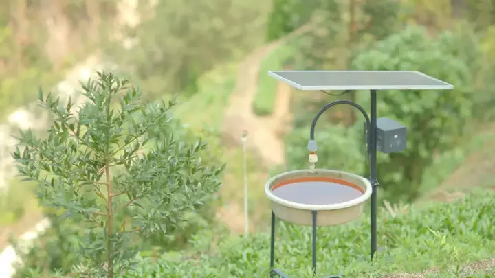 种植茶叶致富视频_种植茶叶利润怎么样_种植茶叶技术视频