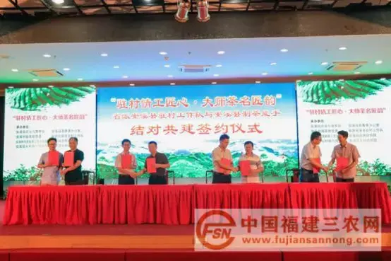 种植茶叶致富视频_种植茶叶利润怎么样_种植茶叶技术视频