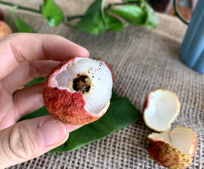 西藏致富带头人_西藏出名小伙_西藏小伙种植致富