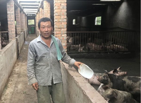 汝州市米庙镇金融扶贫兴产业 致富带头谋幸福