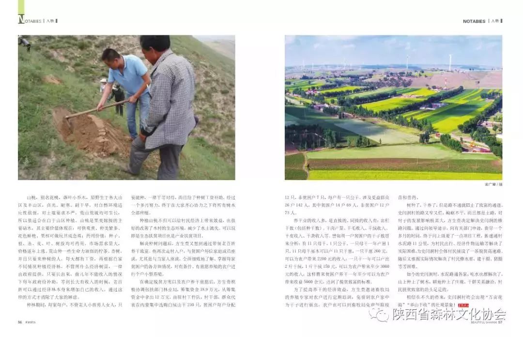 腌咸菜赚钱吗_腌菜生意有多大利润_腌菜致富经