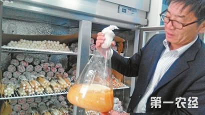 种植食用菌技术大全_韩国食用菌种植技术_种植食用菌前景怎么样