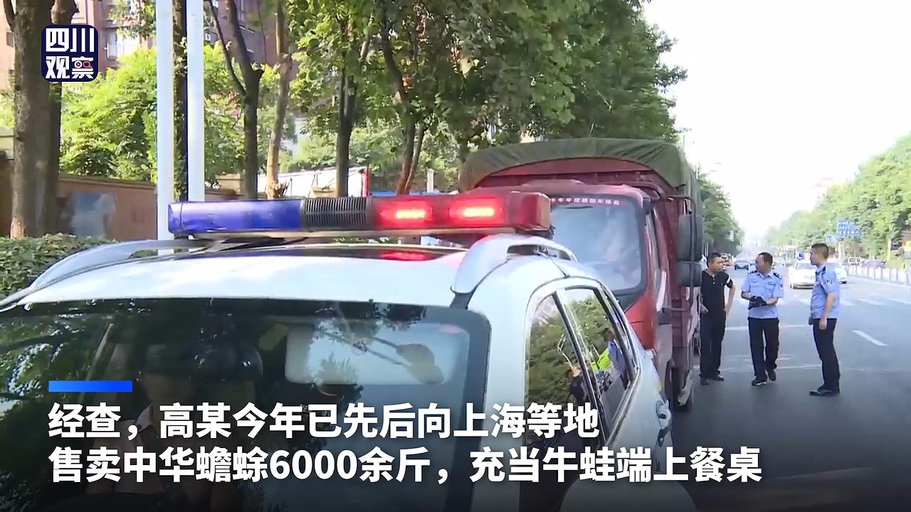 致富经蛤蟆养殖_致富经蛤蟆养殖_致富经蛤蟆养殖