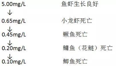 淡水养殖的条件_淡水养殖关键健康技术是什么_淡水健康养殖关键技术