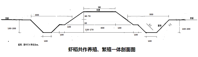 淡水养殖关键健康技术是什么_淡水健康养殖关键技术_淡水养殖的条件