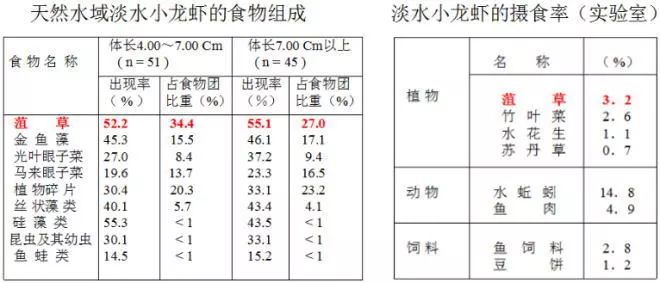 淡水养殖关键健康技术是什么_淡水健康养殖关键技术_淡水养殖的条件