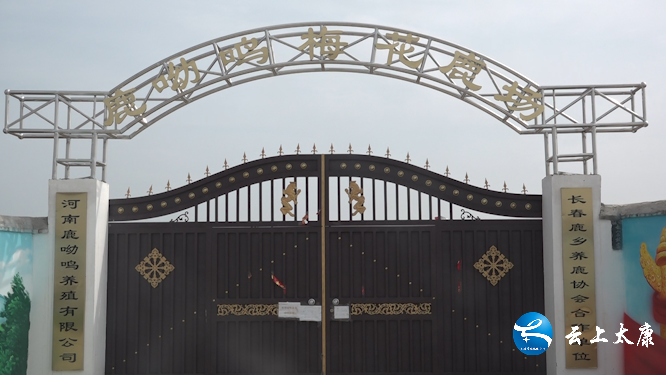 太康：产业支持乡村振兴 致富不走寻常“鹿”