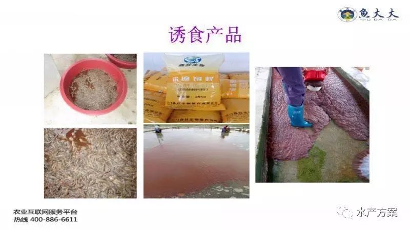 养殖技术视频大全_蟥蟮养殖技术视频_科学养殖视频