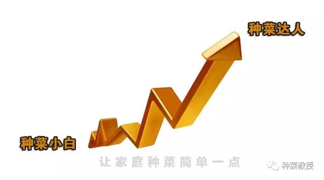蛏人工育苗_人工蛏苗养殖技术_人工养殖蛏子