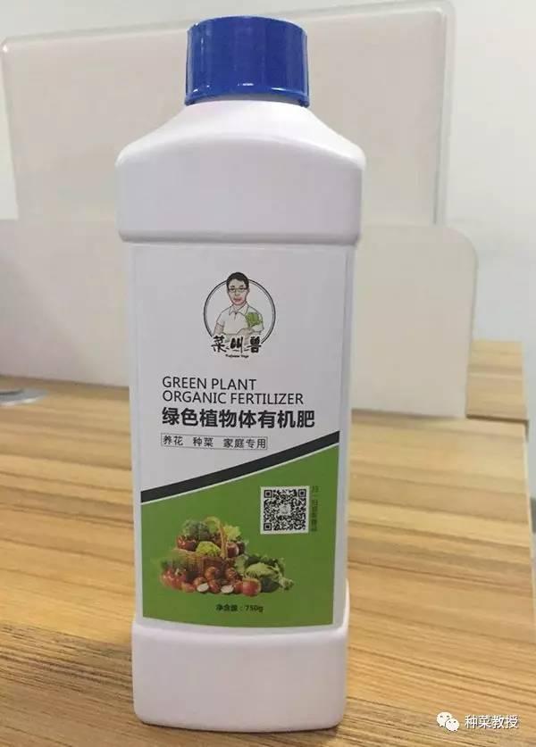 人工养殖蛏子_人工蛏苗养殖技术_蛏人工育苗