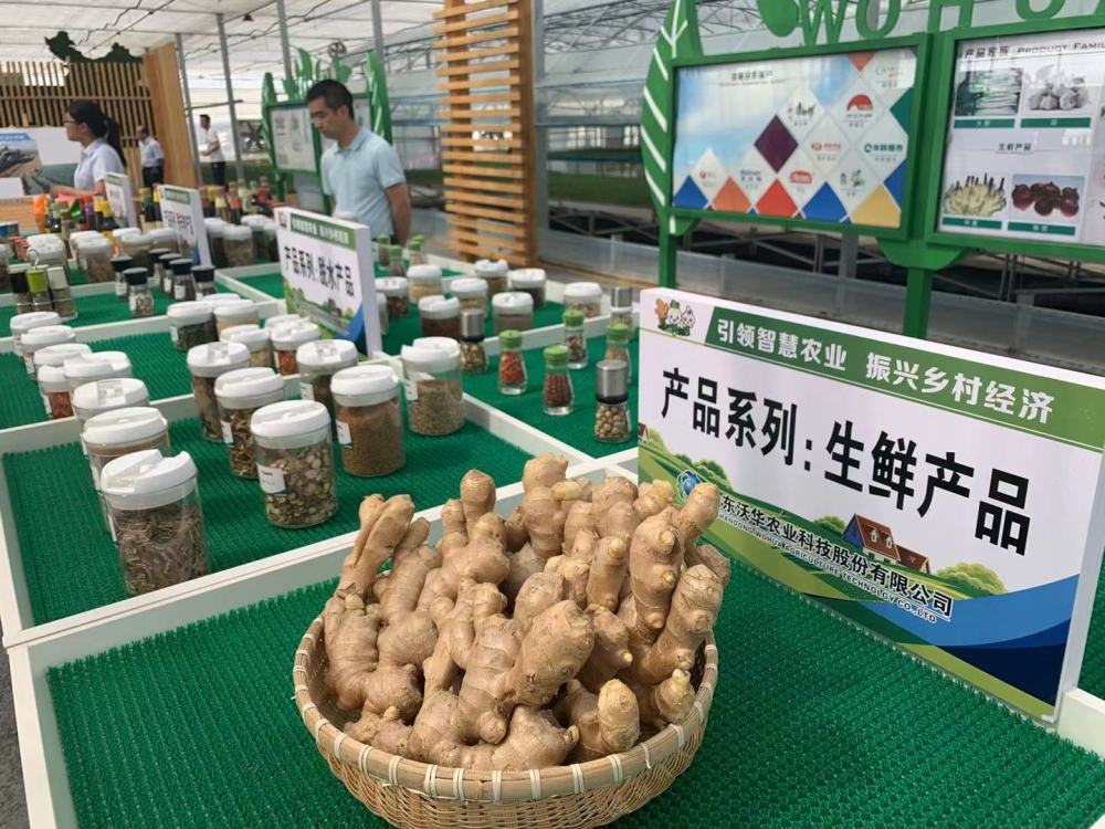 农广天地西瓜种植技术_西瓜种植视频农广_西瓜种植农场