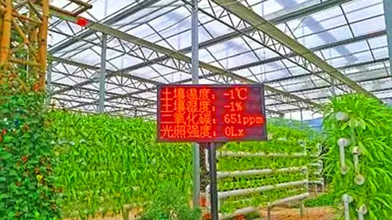 物联网技术在无土栽培中的应用