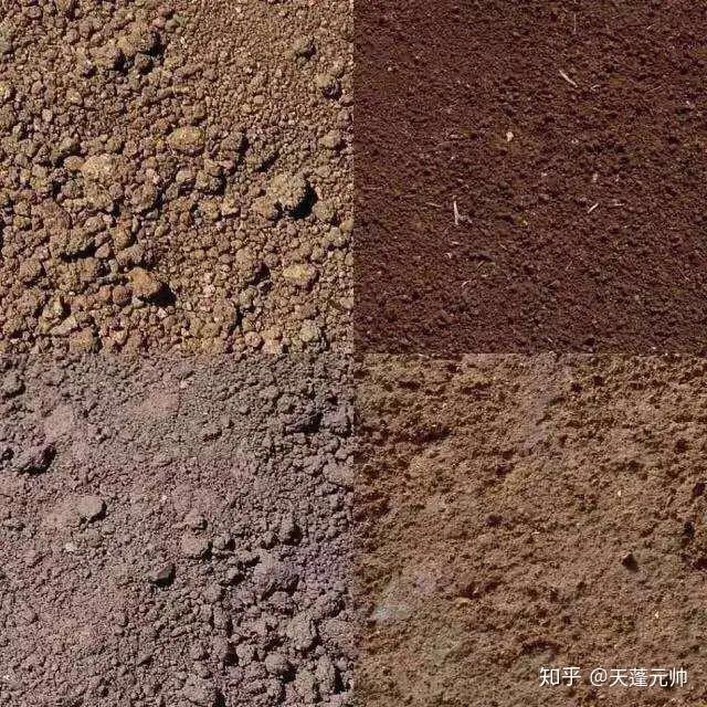 虎纹蛙的人工养殖技术_人工养殖虎纹蛙犯法吗_虎纹蛙养殖利润