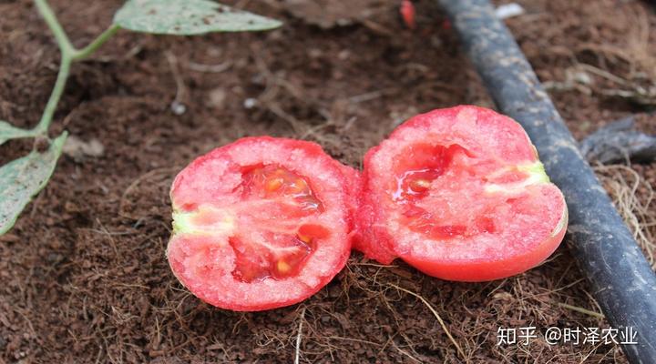 致富经无土栽培养殖视频_致富种植视频全集_致富经大棚无土种植