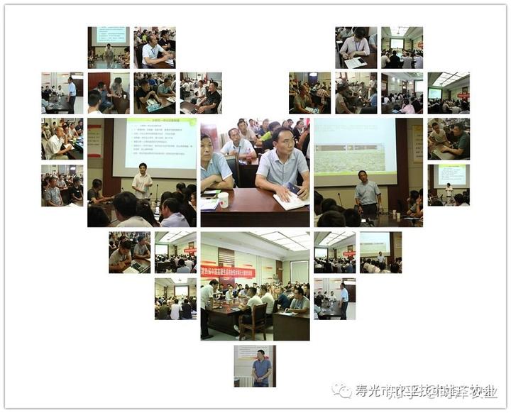 致富经大棚无土种植_致富种植视频全集_致富经无土栽培养殖视频