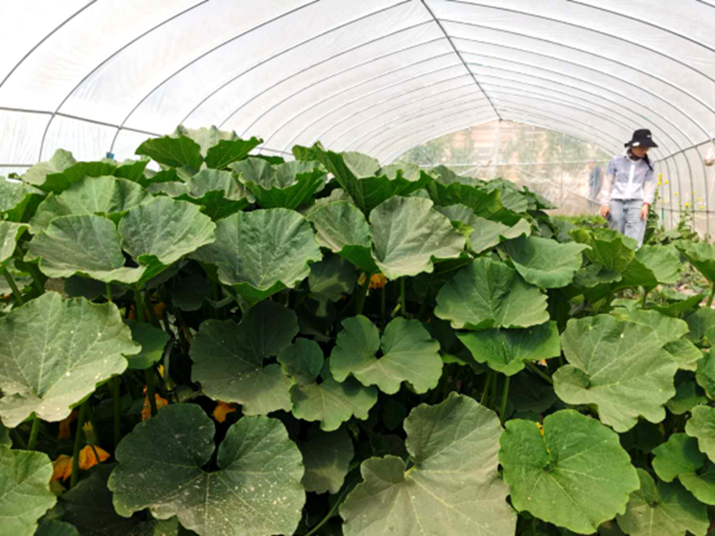 养殖致富经_种植加养殖致富_致富养殖业