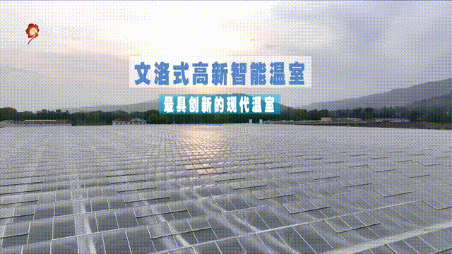 甘肃临夏农作物_甘肃临夏种植致富新闻_临夏蔬菜种植基地