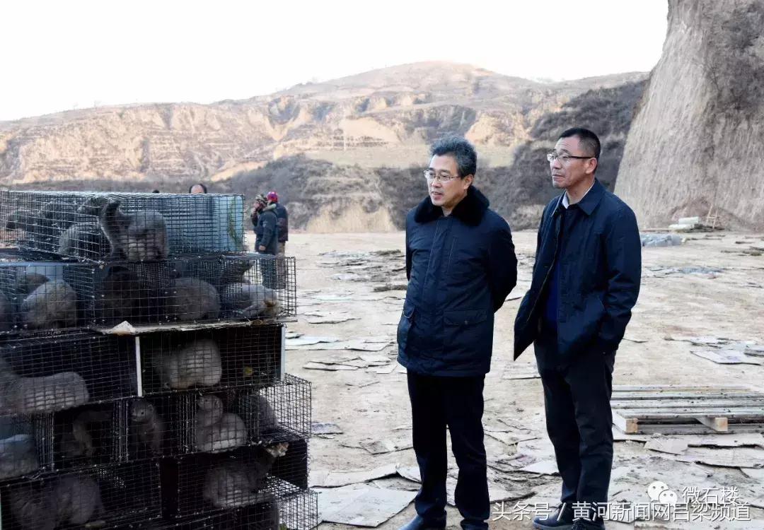 致富经养貂视频_养殖貂多少钱一只_养殖貂视频