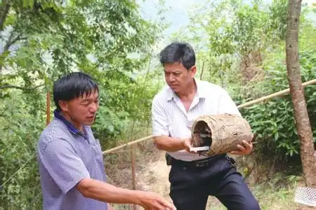 胡峰养殖前景_养殖胡峰骗局_致富经胡峰养殖视频