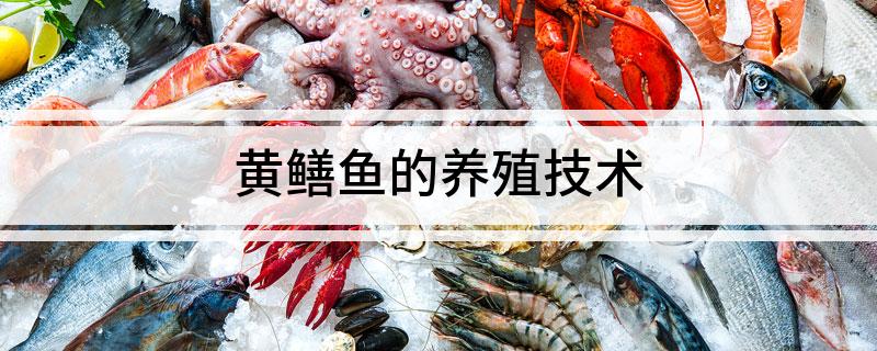 水泥养殖池鳝鱼技术要点_水泥池养殖鳝鱼新技术视频_鳝鱼水泥池养殖技术