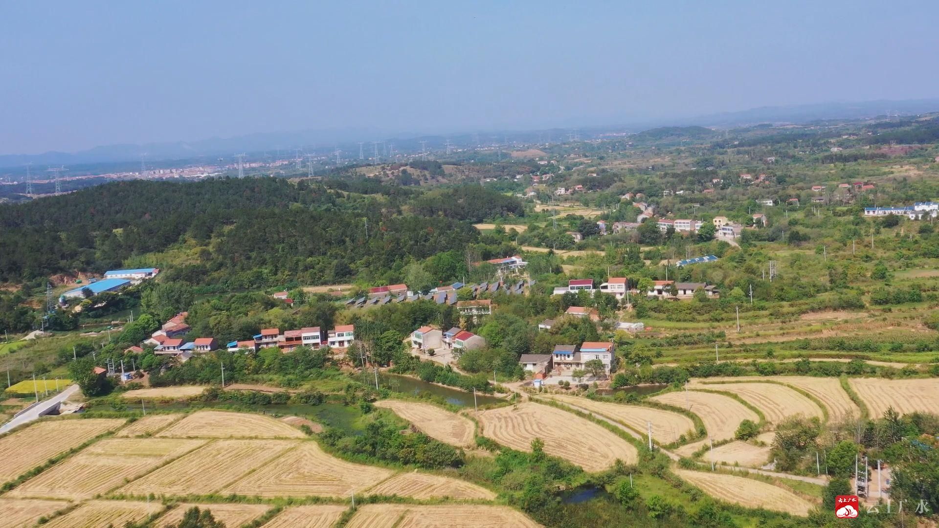 致富香菇大棚图片大全_致富香菇大棚图片_8亩大棚香菇致富经