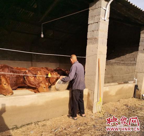 致富养殖业_小型养殖致富_养殖致富经