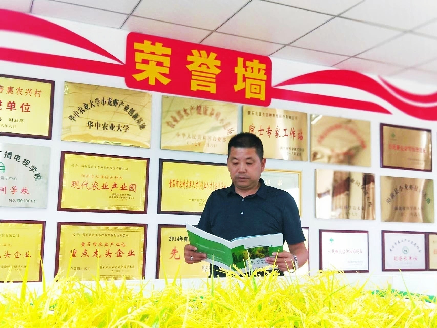黄石劳模刘富国：虾稻共作开启农民增收致富“金钥匙”