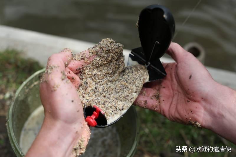 养殖蝇蛆虫最成功_怎样养殖蝇蛆视频_黑蝇蛆养殖技术视频