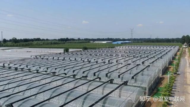 农户种植大棚节水致富经验_农户致富节水大棚种植经验材料_大棚种植水费多少钱一吨