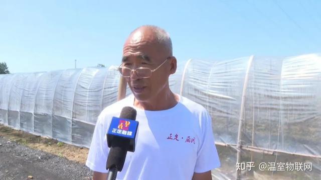 农户致富节水大棚种植经验材料_大棚种植水费多少钱一吨_农户种植大棚节水致富经验