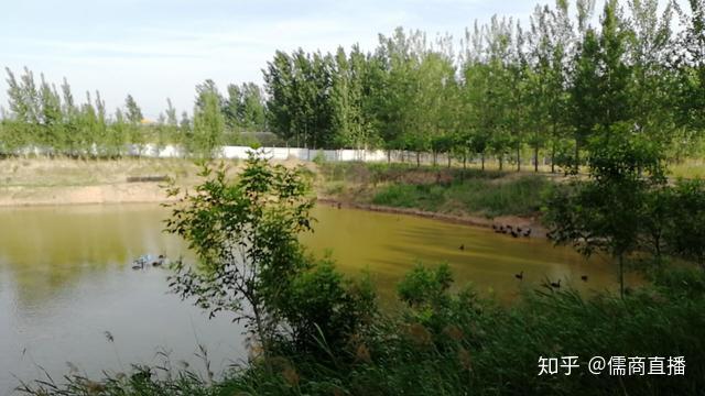 各种养殖技术视频_养殖视频大全_视频养殖技术有哪些
