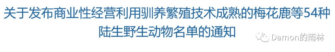 致富经cctv7养珍珠鸡_珍珠鸡致富经视频_致富经养珍珠鸡挣上亿