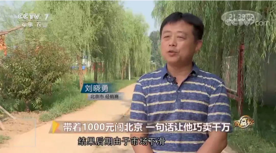 视频致富养殖鲟鱼是真的吗_鲟鱼养殖致富经视频_视频致富养殖鲟鱼在线观看