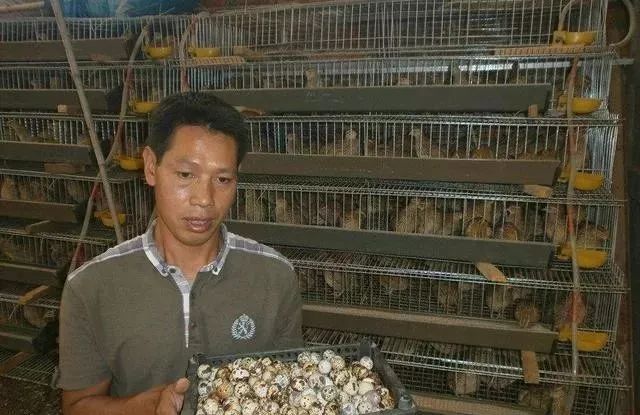 鸡鸭养殖已饱和，农民不妨养这个小东西，有人靠它月收入过万