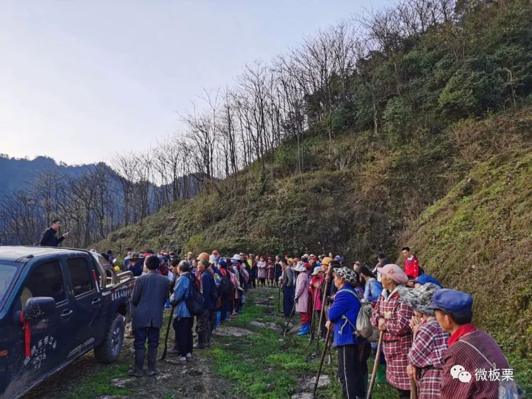 荒山种植致富技巧_荒山致富项目_荒山种植什么前景好