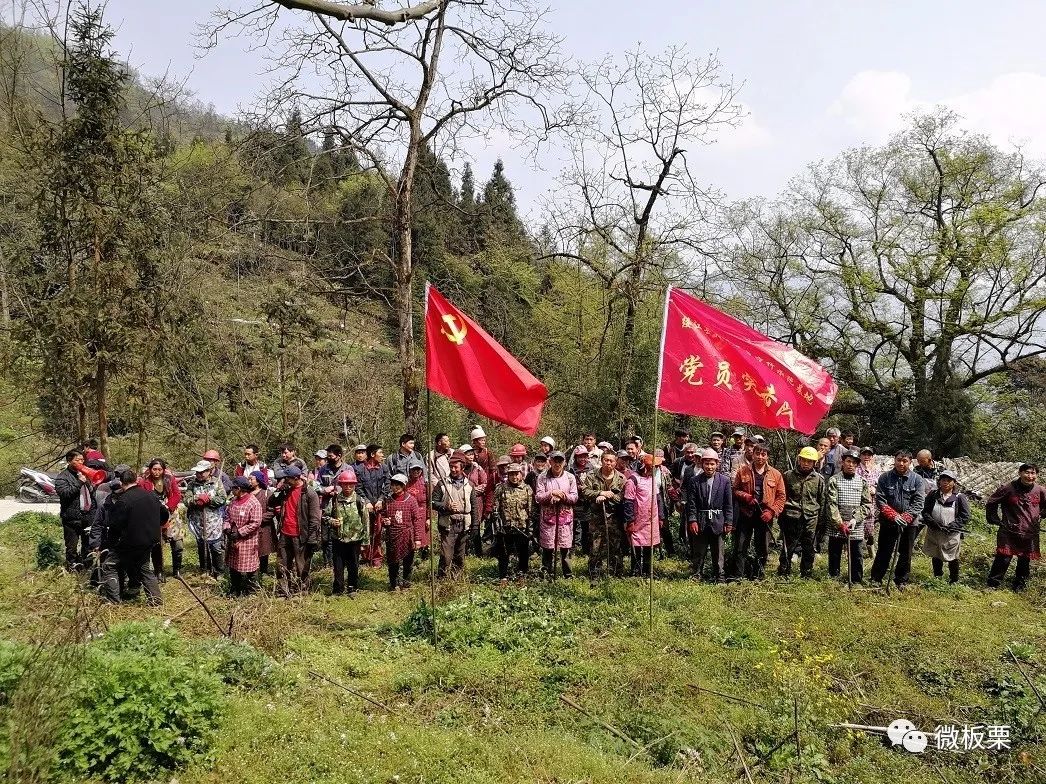 荒山致富项目_荒山种植什么前景好_荒山种植致富技巧