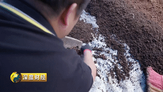 贵州养殖致富项目_贵州养殖业什么最赚钱_贵州省扶持的养殖项目